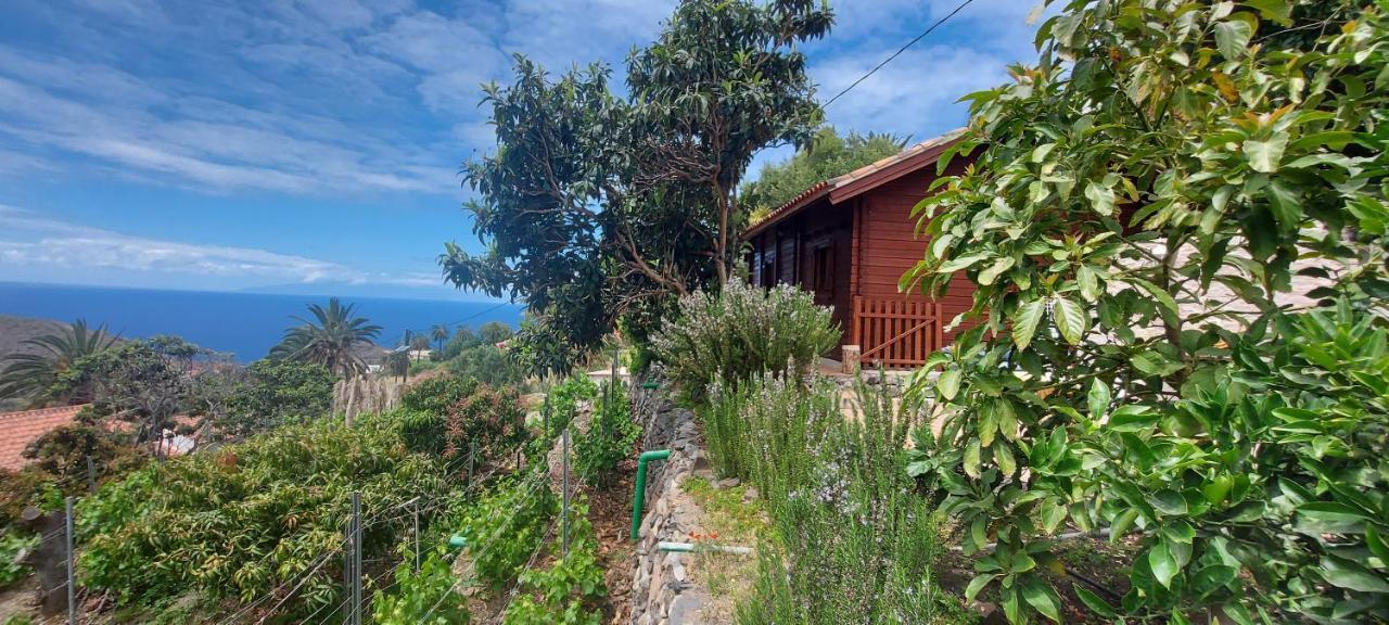 Cabana Los Palmeros, Vista Al Mar Y La Montana Alojera المظهر الخارجي الصورة